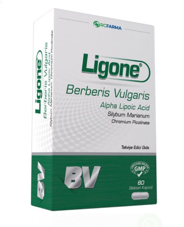 Ligone berberis complex 60 kap